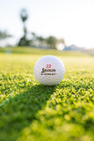 Srixon Z-Star XV Tour Divide Golf Balls