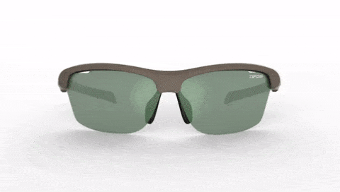 Tifosi Optics Intense Sunglasses
